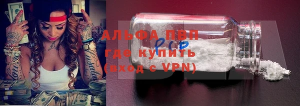 твердый Аркадак