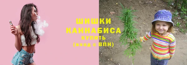 прущие грибы Армянск