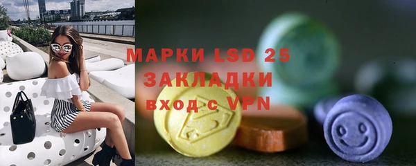 твердый Аркадак