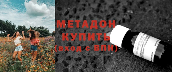 прущие грибы Армянск