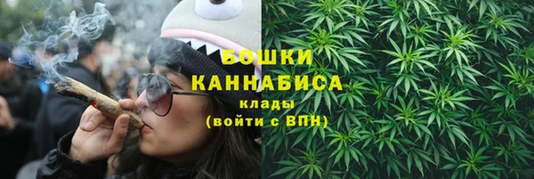 PSILOCYBIN Арсеньев