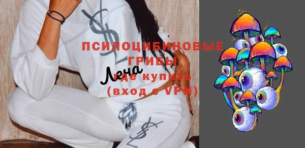 прущие грибы Армянск