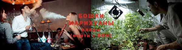 прущие грибы Армянск
