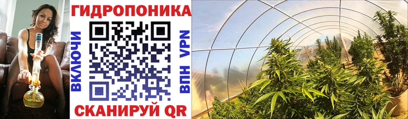 Марихуана Bruce Banner  omg ссылка  Покровск  где купить  
